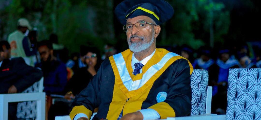 DAD Red sea 1080x500